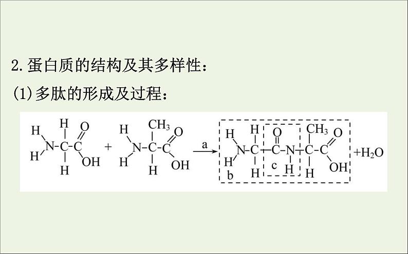 高中生物2020届高考生物一轮复习1.3生命活动的主要承担者__蛋白质课件第5页