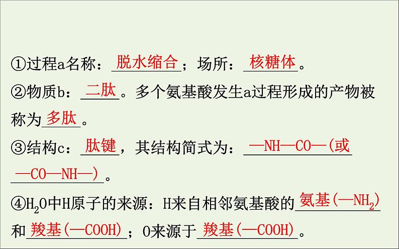 高中生物2020届高考生物一轮复习1.3生命活动的主要承担者__蛋白质课件第6页