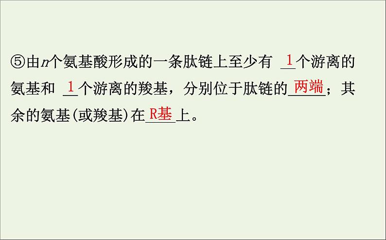 高中生物2020届高考生物一轮复习1.3生命活动的主要承担者__蛋白质课件第7页