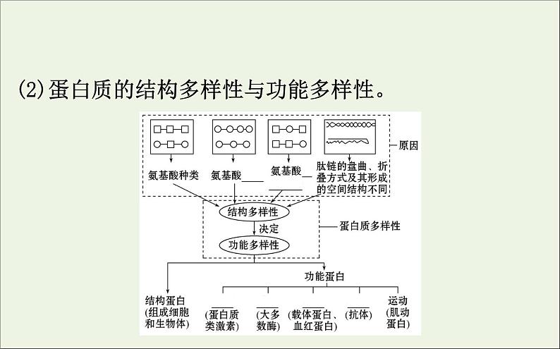 高中生物2020届高考生物一轮复习1.3生命活动的主要承担者__蛋白质课件第8页