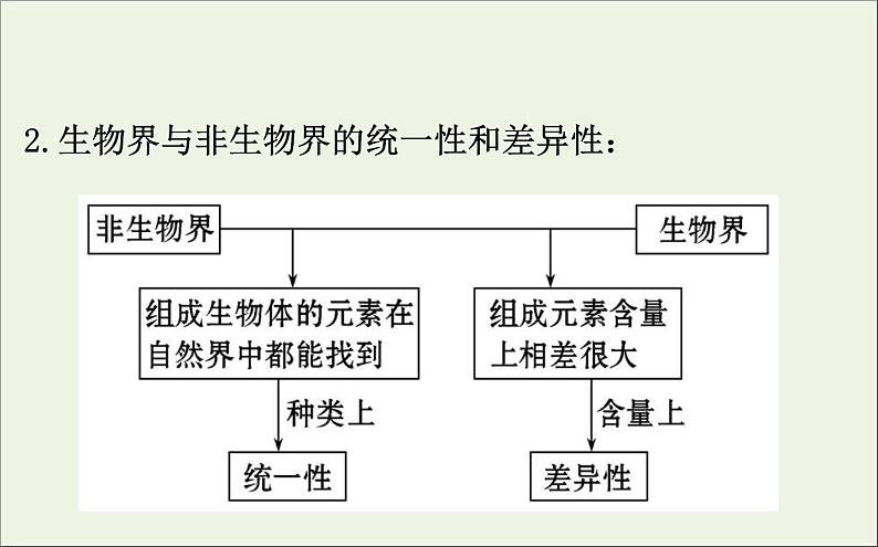 高中生物2020届高考生物一轮复习1.2细胞中的元素和化合物课件05