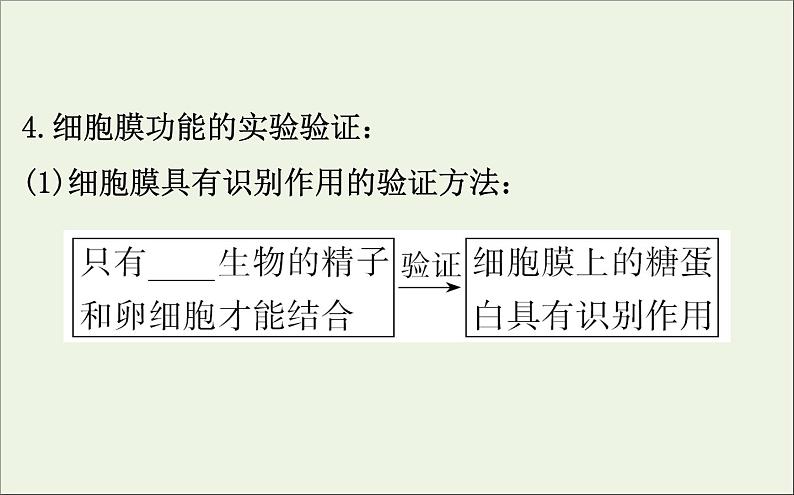 高中生物2020届高考生物一轮复习2.1细胞膜和流动镶嵌模型课件第7页