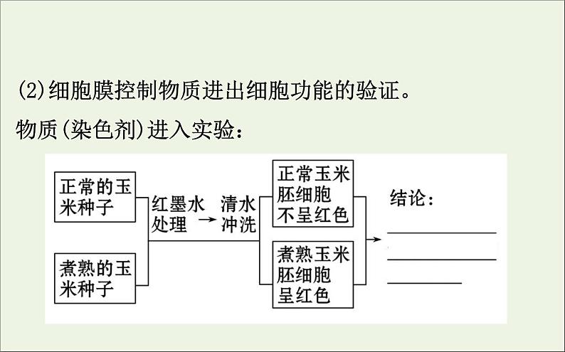 高中生物2020届高考生物一轮复习2.1细胞膜和流动镶嵌模型课件第8页