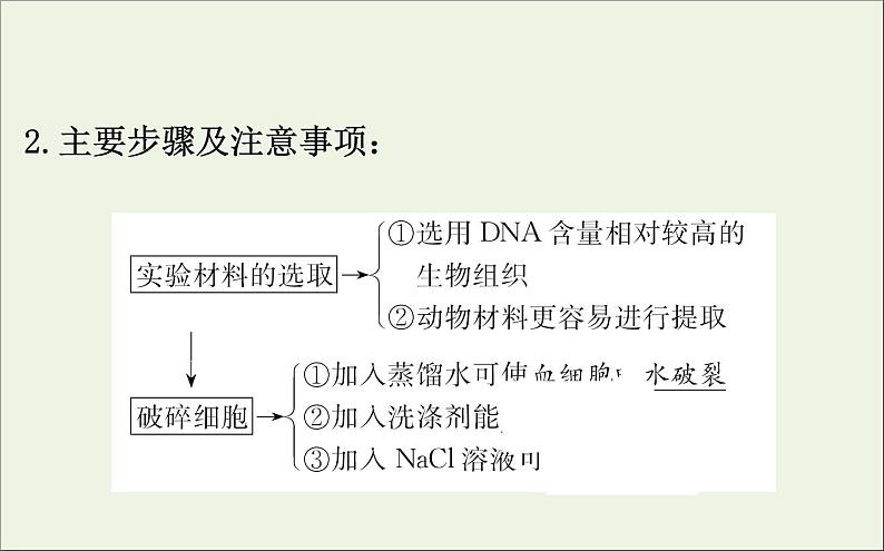 高中生物2020届高考生物一轮复习1.4生物技术在其他方面的应用课件选修08