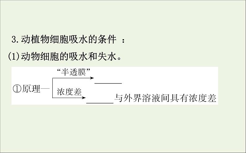 高中生物2020届高考生物一轮复习2.4物质跨膜运输的实例和方式课件第7页