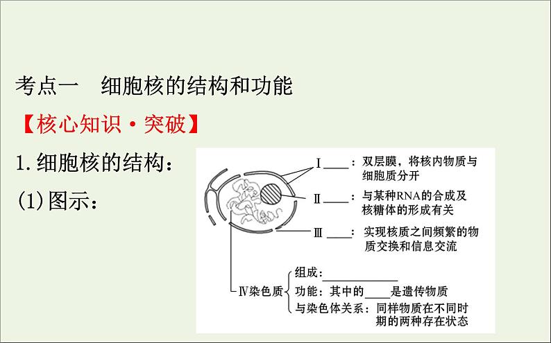 高中生物2020届高考生物一轮复习2.3细胞核__系统的控制中心课件第4页