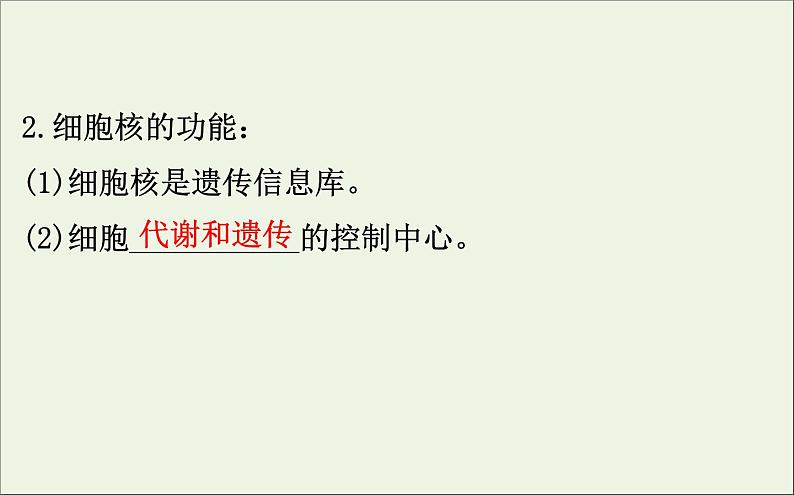 高中生物2020届高考生物一轮复习2.3细胞核__系统的控制中心课件第7页