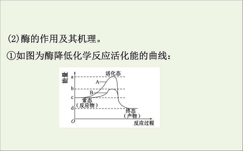 高中生物2020届高考生物一轮复习3.1酶和ATP课件06