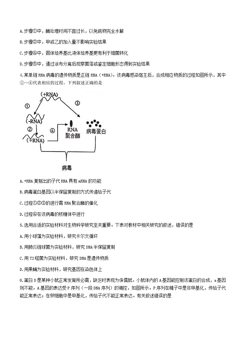 2023天津市耀华中学高三上学期第二次（11月）月考生物试题含答案第2页