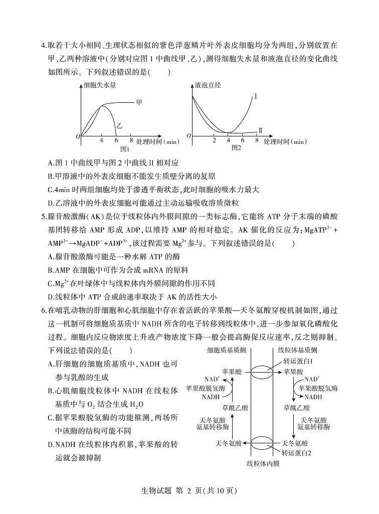 2023临沂高三期中生物试题PDF版含答案02