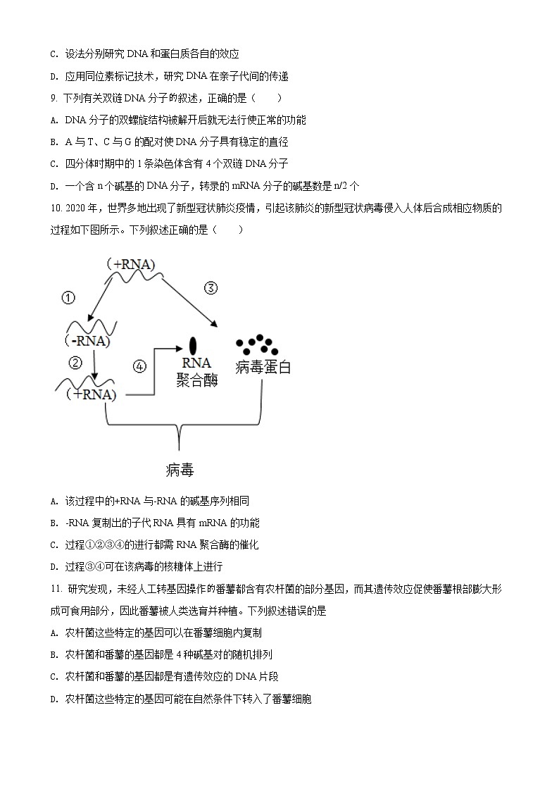 河南省洛阳市2021-2022学年高二上学期期末生物试题无答案第3页