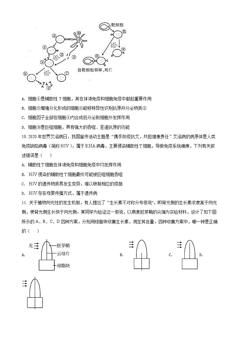 2022油田十一中高二上学期期末考试生物试题含解析03