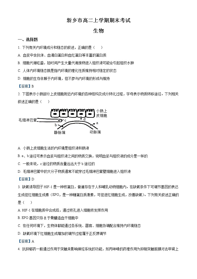 2022新乡高二上学期期末生物试题含答案第1页