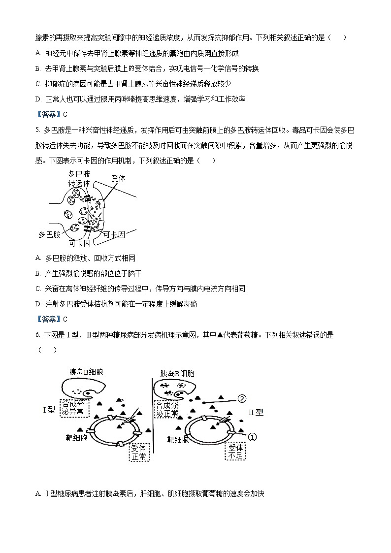 2022新乡高二上学期期末生物试题含答案第2页