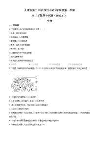 2023天津市三中高二上学期期中考试生物试题含解析