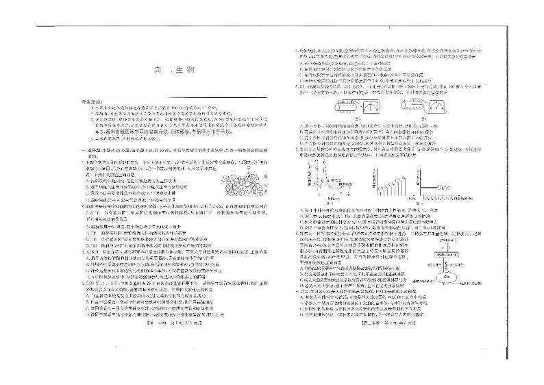 2023河南省名校高二上学期11月联考生物试题PDF版含答案01
