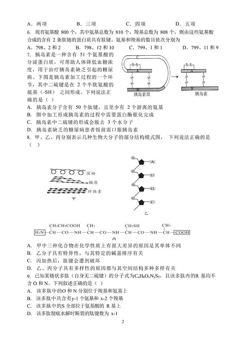 2023郑州外国语学校高一上学期期中生物试题PDF版含答案02