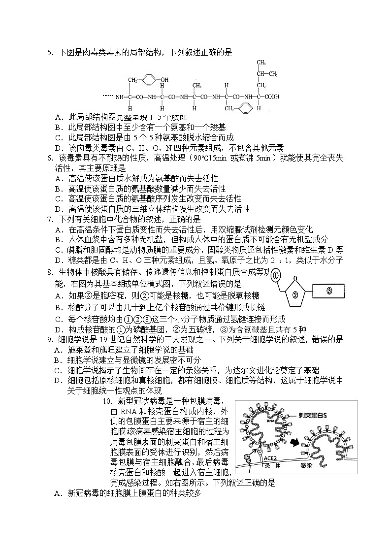 2023浙江省浙北G2联盟高一上学期期中联考试题生物含答案02