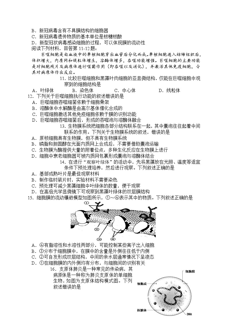 2023浙江省浙北G2联盟高一上学期期中联考试题生物含答案03