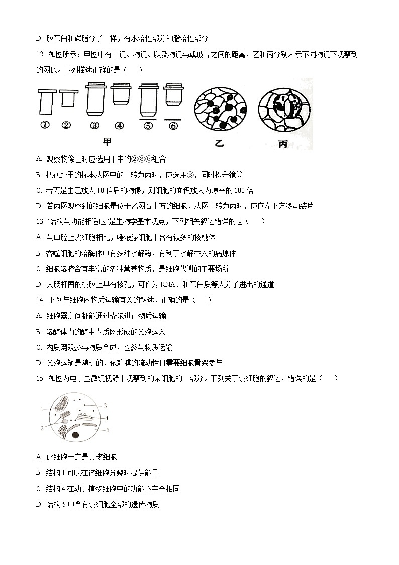 2023温州新力量联盟高一上学期期中联考试题生物含解析03