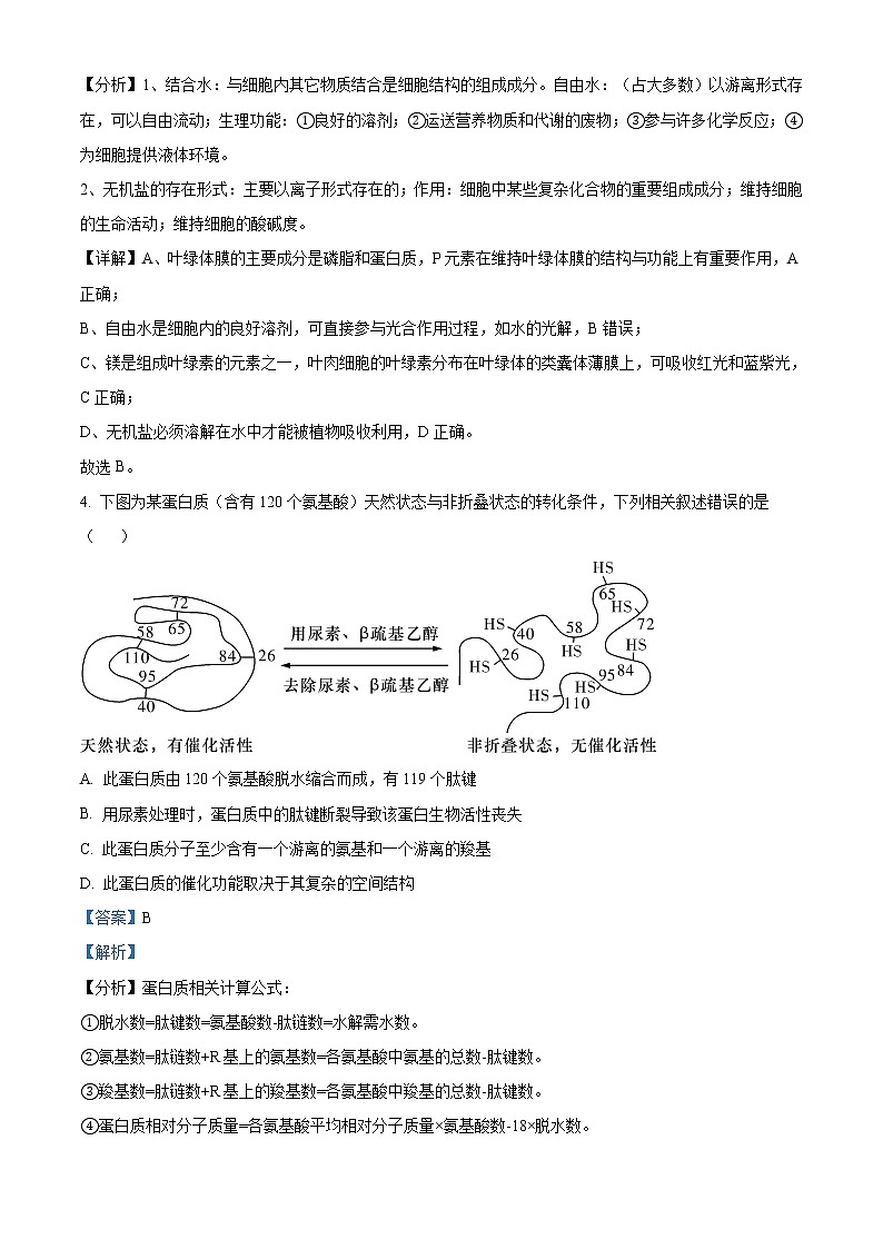 湖南师范大学附中2021-2022学年高一上学期期末生物试题含解析第3页