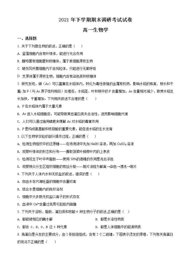 湖南省长沙市长沙县、望城区、浏阳市2021-2022学年高一上学期期末调研考试生物试题无答案第1页
