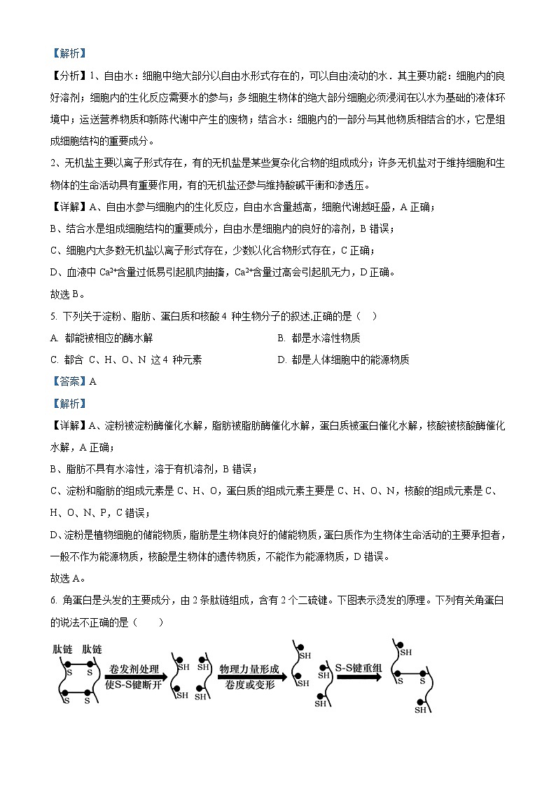 湖南省长沙市长沙县、望城区、浏阳市2021-2022学年高一上学期期末调研考试生物试题含解析第3页