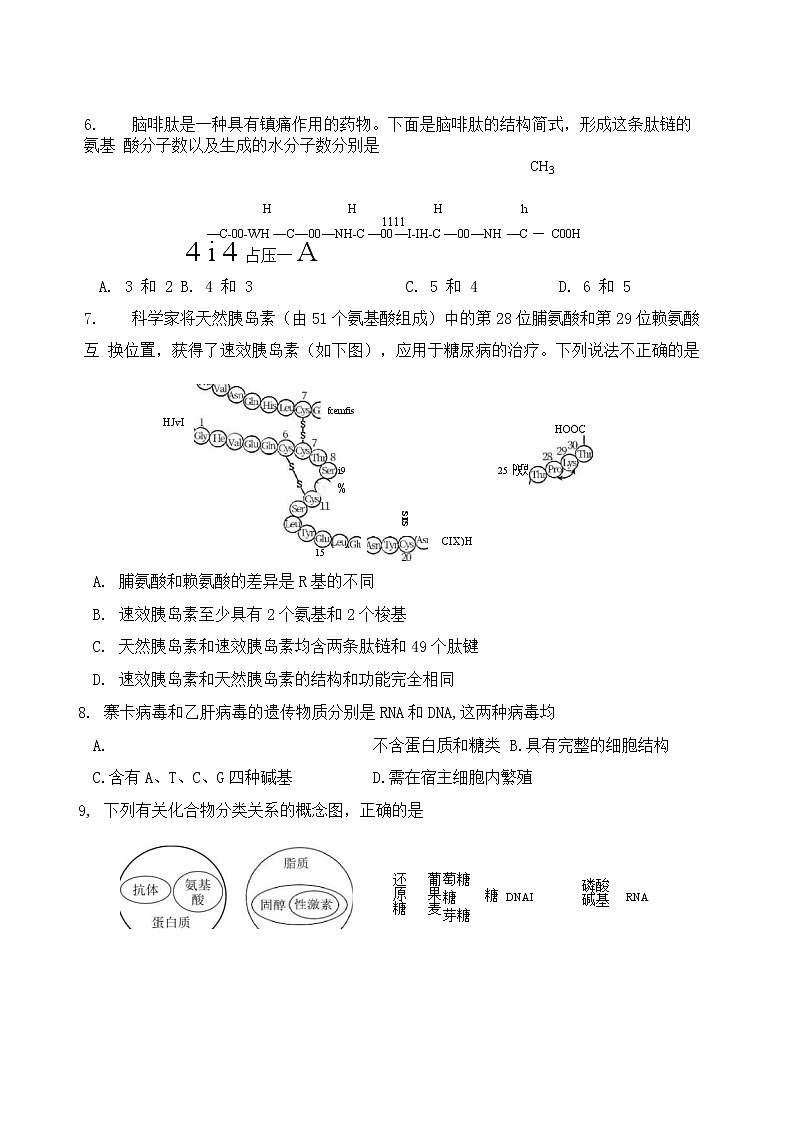 北京市丰台区2022-2023学年高一上学期11月期中考试生物试题（A卷）Word版含答案02