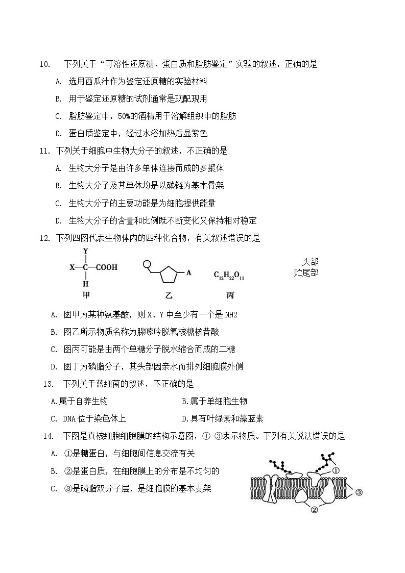 北京市丰台区2022-2023学年高一上学期11月期中考试生物试题（A卷）Word版含答案03