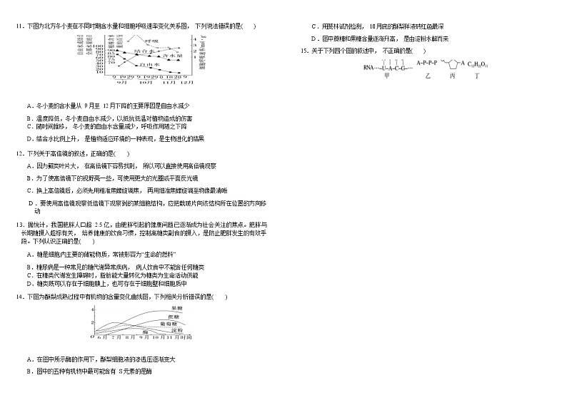四川省成都市青羊区2022-2023学年高一上学期11月阶段性测试生物试题（Word版含答案）第3页