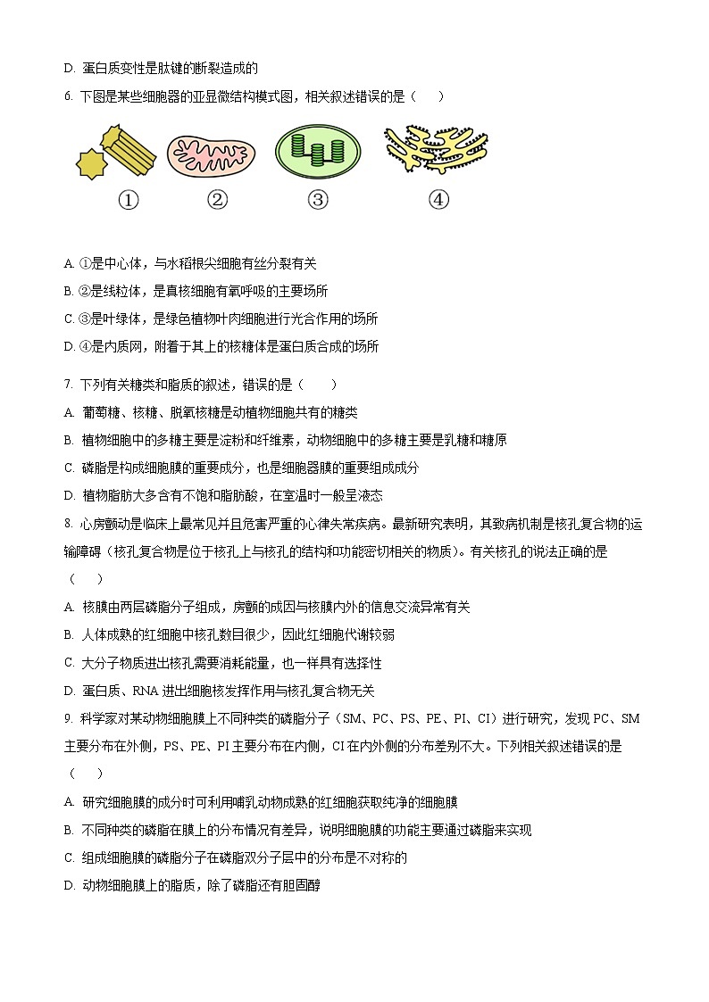 2022怀化高一上学期期末考试生物含解析02