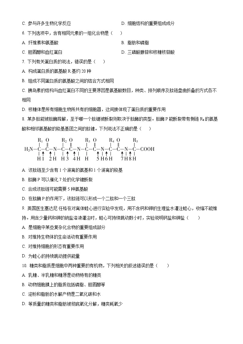 湖南省郴州市2021-2022学年高一上学期期末（质量监测）生物试题无答案第2页