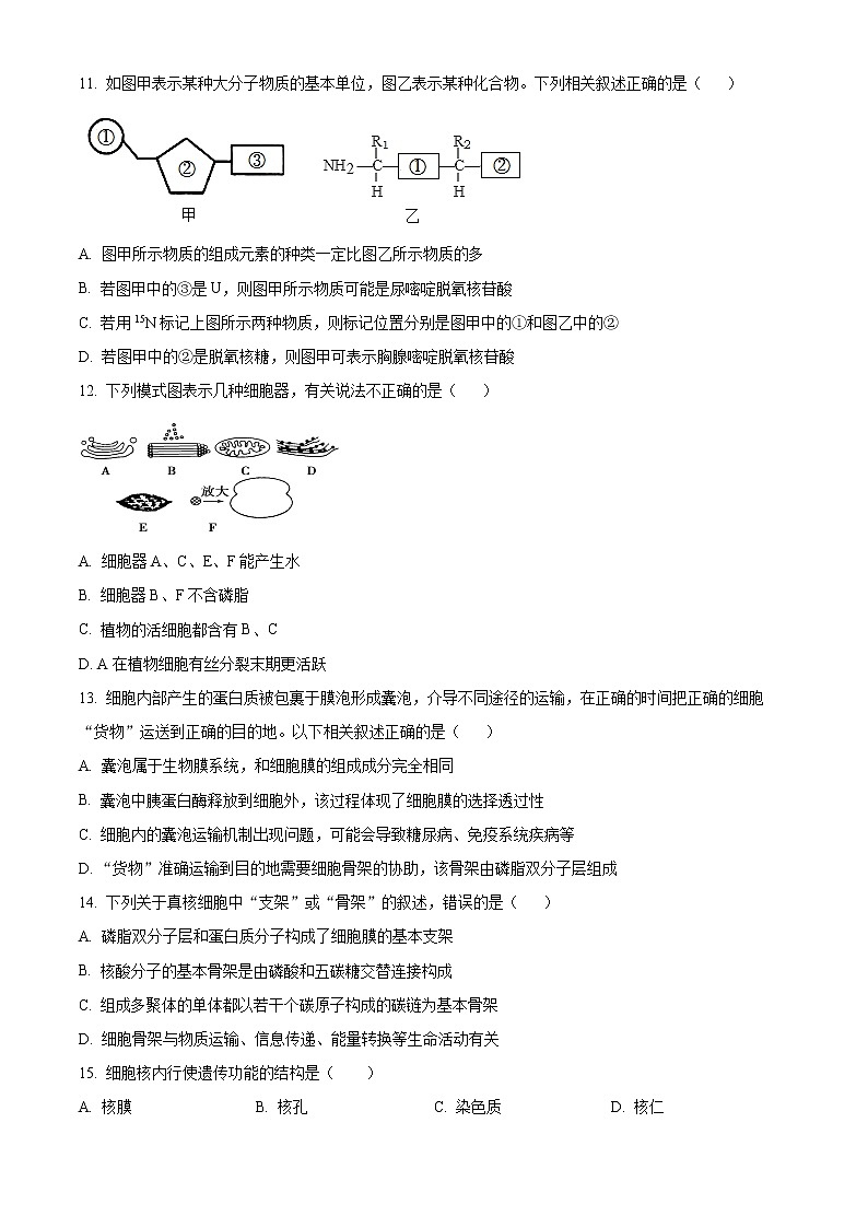 湖南省郴州市2021-2022学年高一上学期期末（质量监测）生物试题无答案第3页