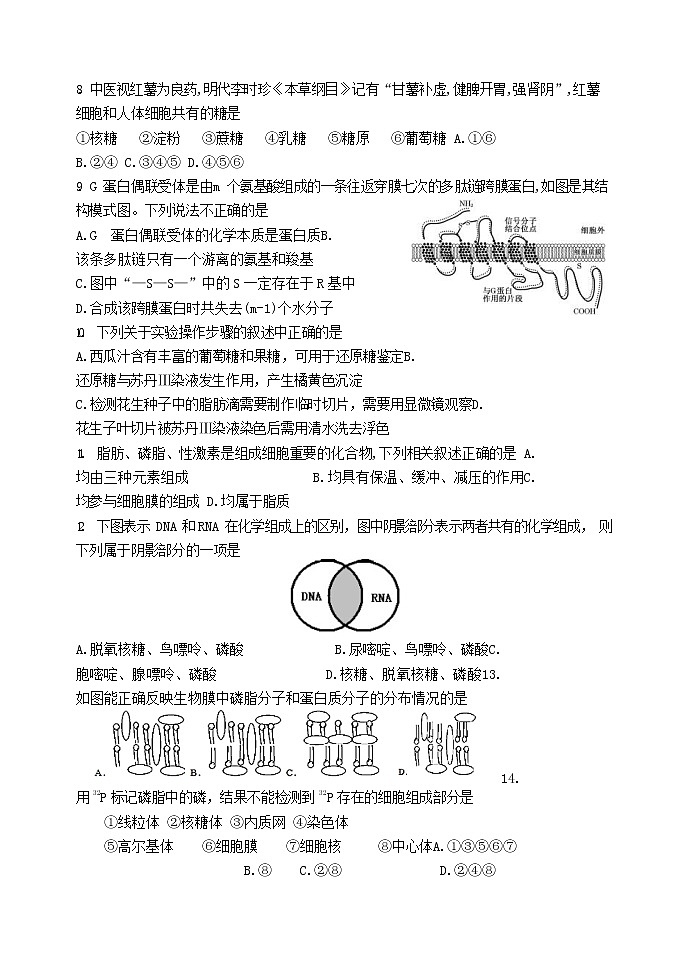2023天津天津和平区天津耀华中学高一上学期11月期中生物试题含答案02