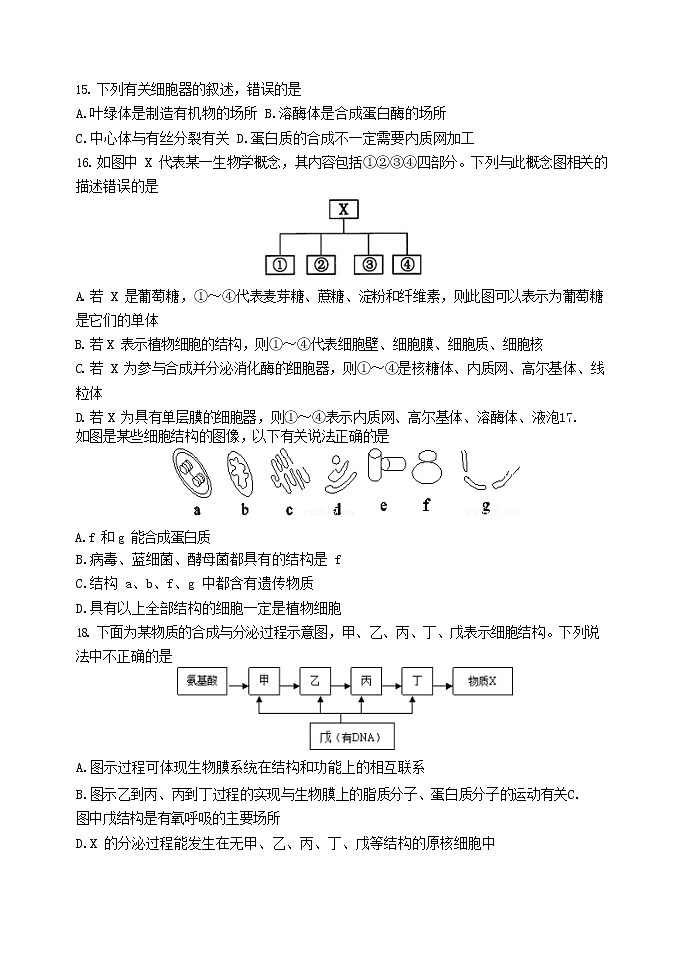 2023天津天津和平区天津耀华中学高一上学期11月期中生物试题含答案03