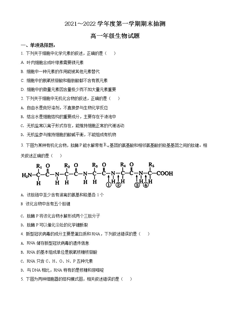 2022徐州高一上学期期末抽测生物试题含答案01