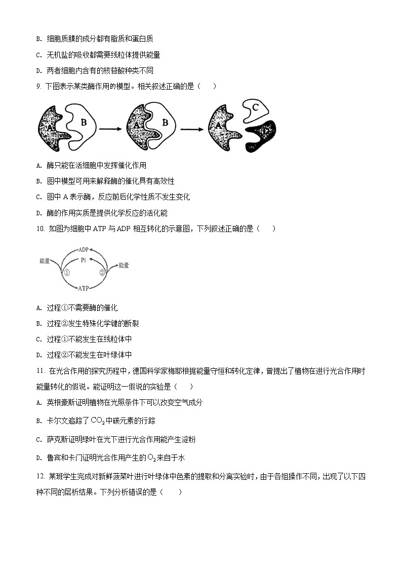2022徐州高一上学期期末抽测生物试题含答案03