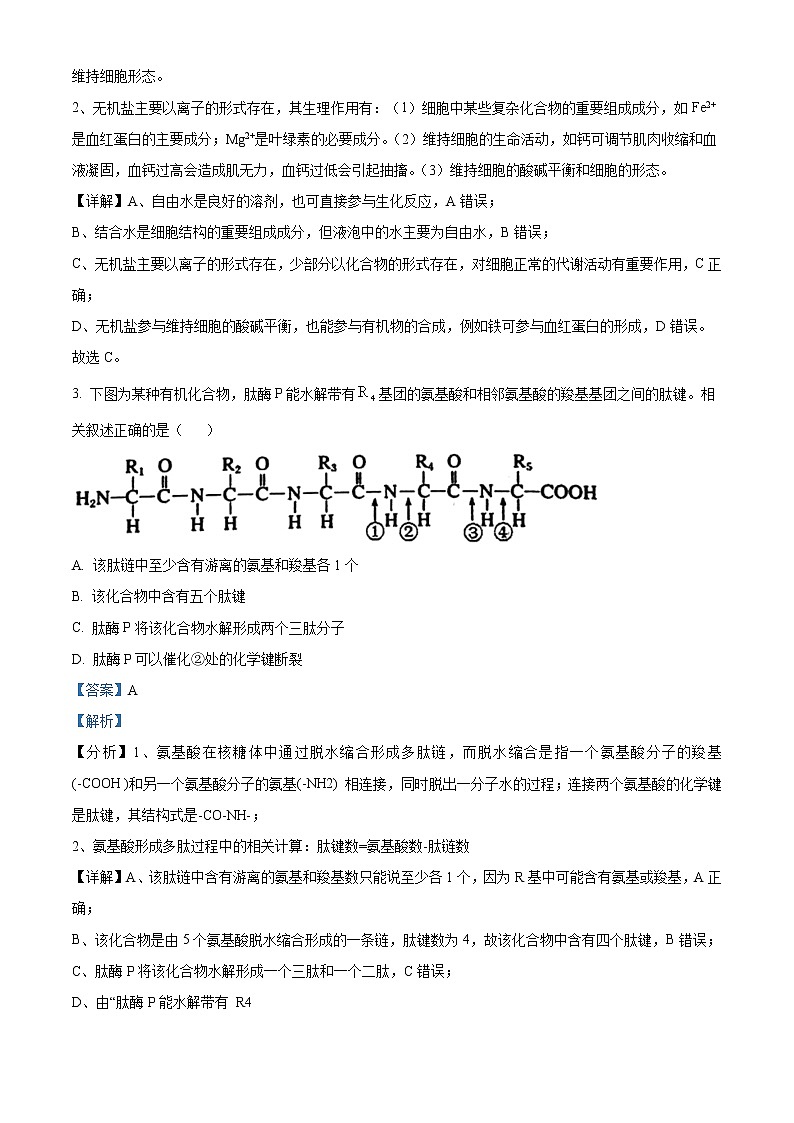 2022徐州高一上学期期末抽测生物试题含答案02