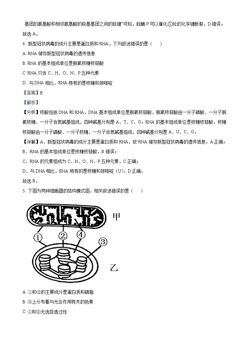 2022徐州高一上学期期末抽测生物试题含答案03