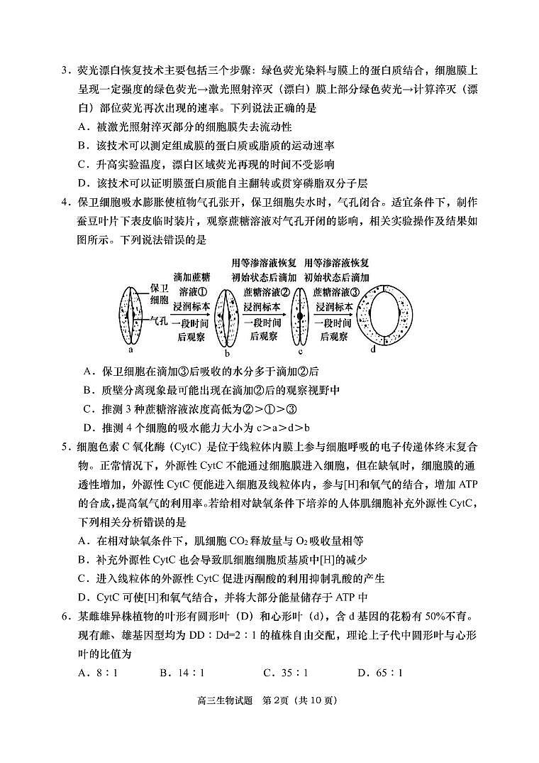 山东省青岛四区2023届高三生物上学期期中考试试题（PDF版附答案）第2页