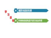 5.4光合作用与能量转化（第1课时）2022-2023学年高一上学期生物人教版（2019）必修1课件PPT