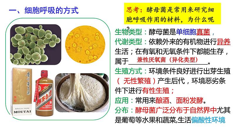 5.3细胞呼吸的原理2022-2023学年高一上学期生物人教版（2019）必修1课件PPT03