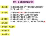 5.3细胞呼吸的原理2022-2023学年高一上学期生物人教版（2019）必修1课件PPT