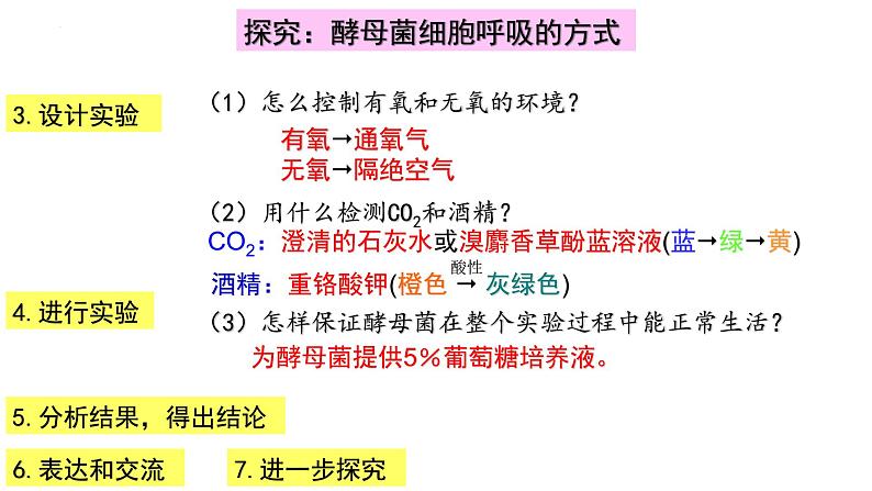 5.3细胞呼吸的原理2022-2023学年高一上学期生物人教版（2019）必修1课件PPT05