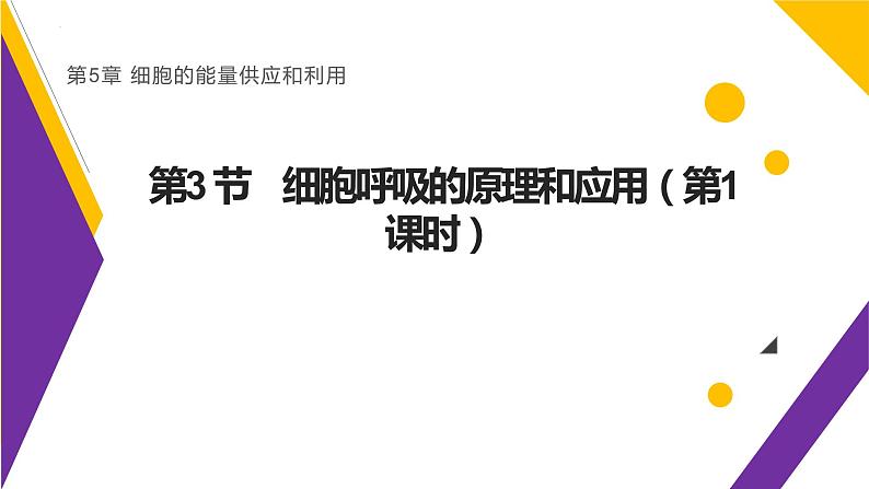 5.3细胞呼吸的原理和应用课件-2022-2023学年高一上学期生物人教版（2019）必修1第1页