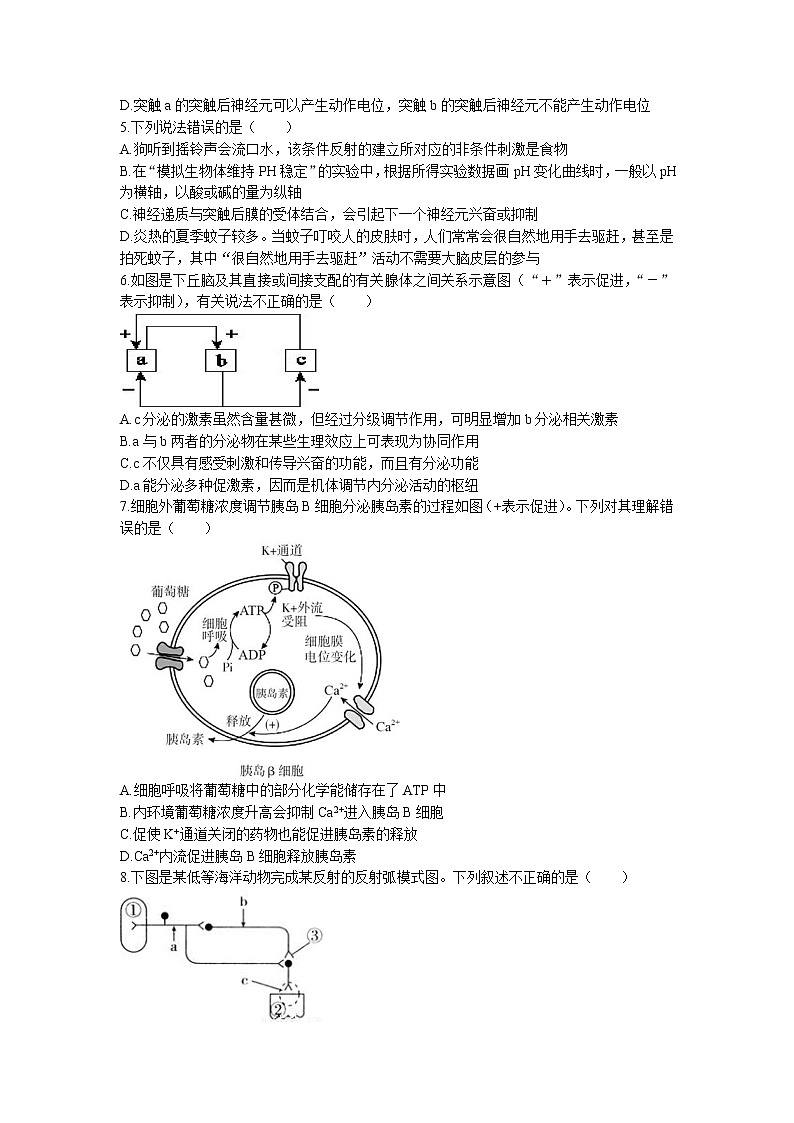 辽宁省葫芦岛市四校2022-2023学年高二上学期期中联考生物试题（含答案）02