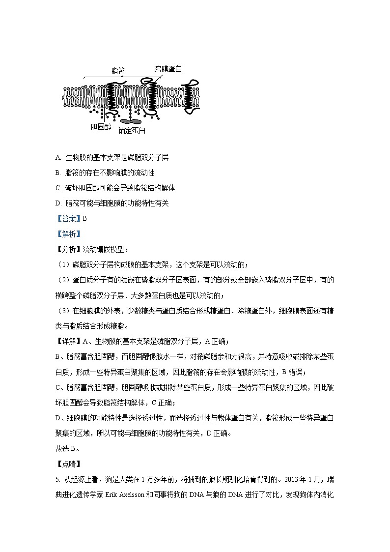 浙江省宁波市2021-2022学年高二生物上学期期末试题（Word版附解析）03