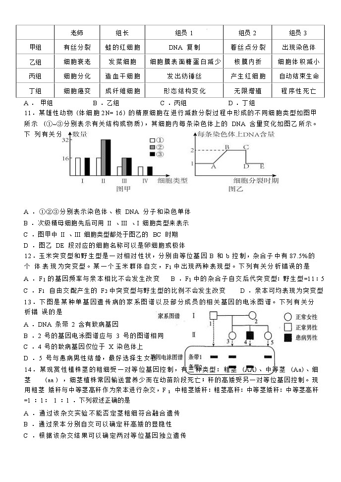 河南省郑州外国语学校2023届高三生物12月调研考试试卷（Word版附答案）第3页