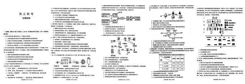 湖北省十一校2023届高三生物第一次联考试题（PDF版附答案）第1页