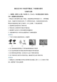 湖北省2021-2022学年高二生物上学期期末调考试题（Word版附答案）